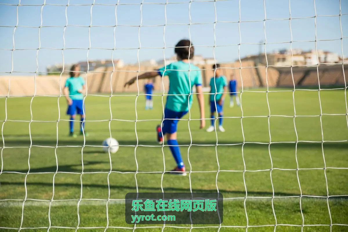 乐鱼在线网页版内容分类导航界面